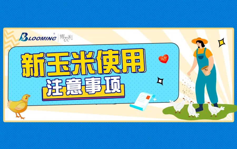 學(xué)會(huì)這3點(diǎn)，教你搶“鮮”使用新玉米，增效快人一步